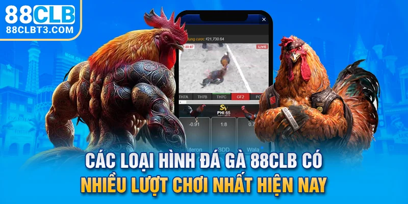 Các loại hình đá gà 88CLB có nhiều lượt chơi nhất hiện nay