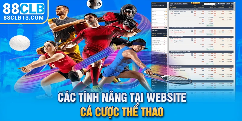 Các tính năng tại website cá cược thể thao