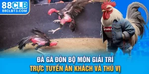 Đá Gà Đòn - Bộ Môn Giải Trí Trực Tuyến Ăn Khách Và Thú Vị