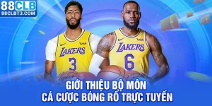 Giới thiệu bộ môn cá cược bóng rổ trực tuyến