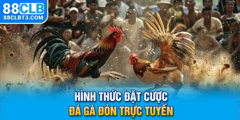 Hình thức đặt cược đá gà đòn trực tuyến