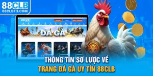 Thông tin sơ lược về trang đá gà uy tín 88CLB