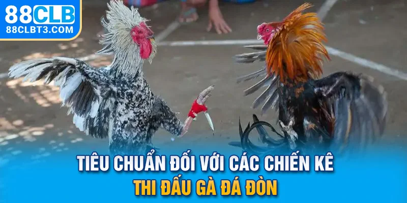 Tiêu chuẩn đối với các chiến kê thi đấu gà đá đòn