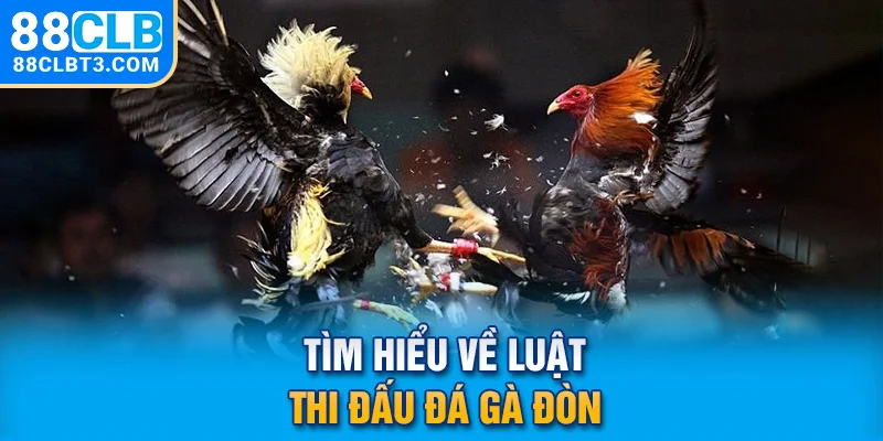 Tìm hiểu về luật thi đấu đá gà đòn